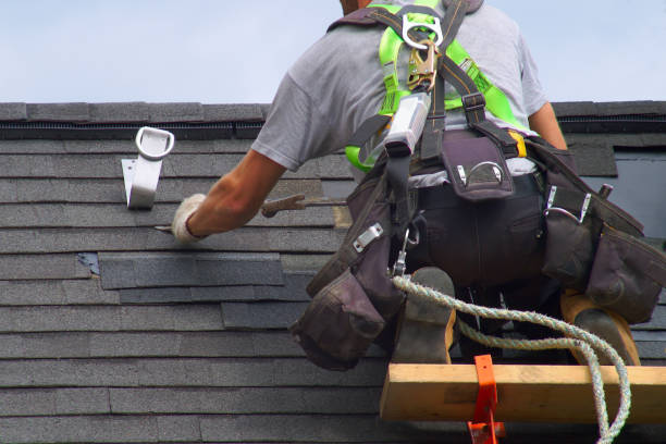 Best Metal Roofing Contractor  in Susitna North, AK