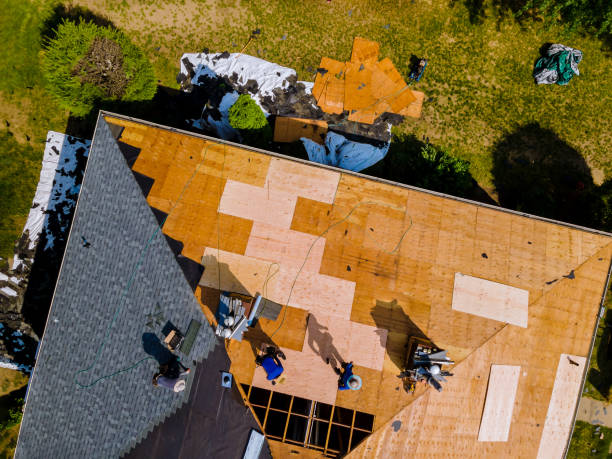 Best Roof Waterproofing Services  in Susitna North, AK