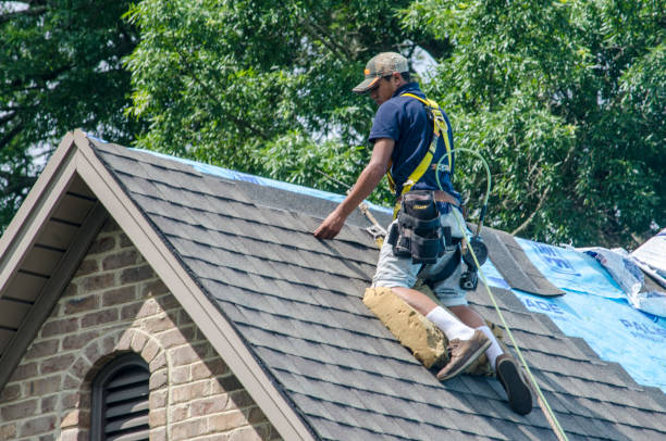 Best Roof Maintenance Services  in Susitna North, AK
